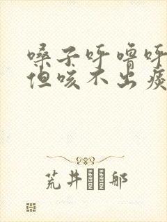 嗓子呼噜呼噜响但咳不出痰来