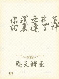 你还要我怎样歌词表达了什么