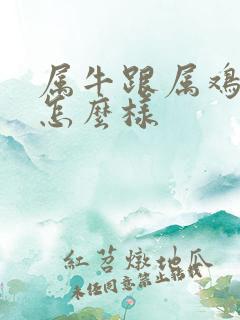 属牛跟属鸡姻缘怎么样