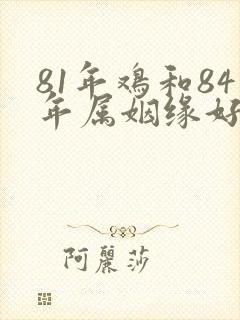 81年鸡和84年属姻缘好不好