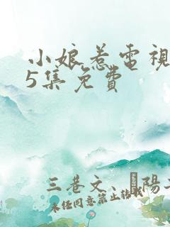 小娘惹电视剧45集免费