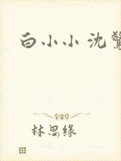白小小 沈惊觉