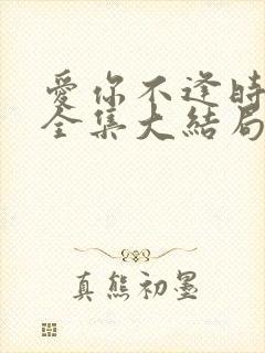 爱你不逢时短剧全集大结局