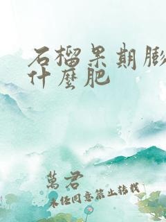 石榴果期膨大用什么肥