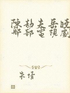 陈劫夫岳晓青是哪部电视剧的人物