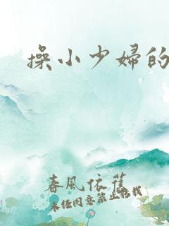 操小少妇的逼