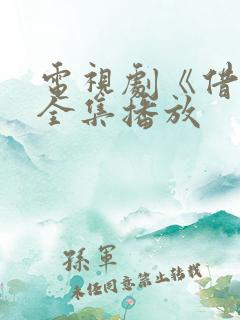 电视剧《借枪》全集播放