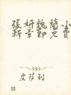 张妍魏兰小说最新章节免费阅读
