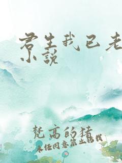 君生我已老类似小说