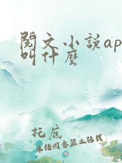 阅文小说app叫什么