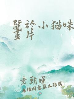 关于小猫咪的动画片
