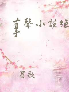 有声小说绝世高手