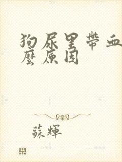 狗尿里带血是什么原因
