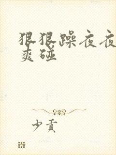 狠狠躁夜夜躁人爽碰