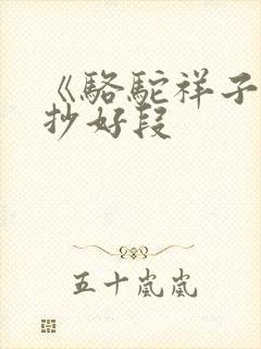 《骆驼祥子》摘抄好段