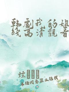 韩剧我的姐姐在线高清观看