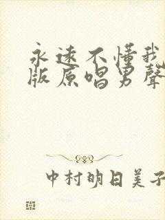 永远不懂我dj版原唱男声