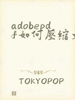 adobepdf如何压缩文件大小