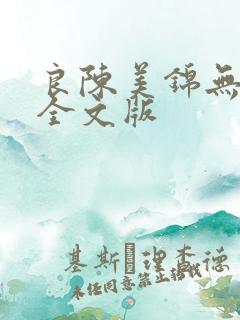 良陈美锦无删减全文版