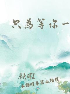 只为等你一人
