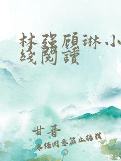 林强顾琳小说在线阅读