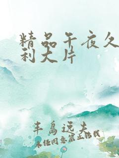 精品午夜久久福利大片