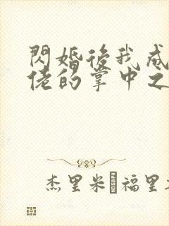 闪婚后我成了大佬的掌中之物免费的短剧