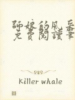 师娘的风采小说免费阅读笔趣阁