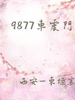 9877车震门