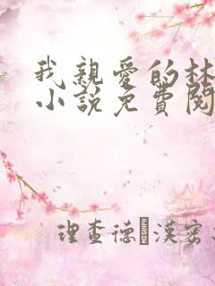 我亲爱的林法医小说免费阅读