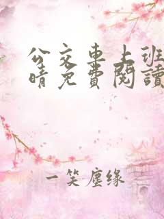 公交车上班的苏晴免费阅读