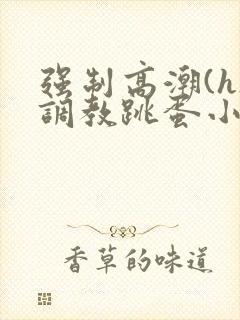 强制高潮(h)调教跳蛋小说