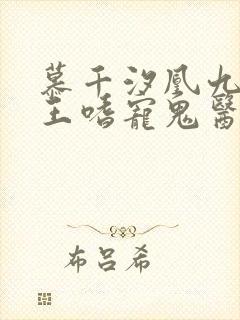 慕千汐凰九夜邪王嗜宠鬼医狂妃