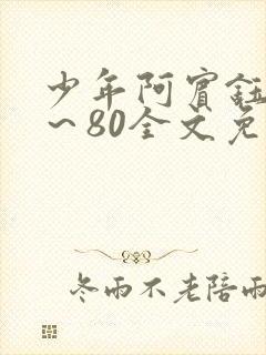 少年阿宾钰慧1～80全文免费