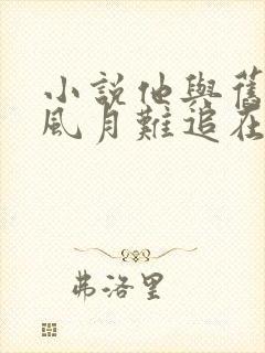 小说他与旧约,风月难追在线阅读