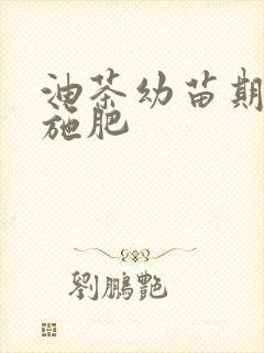 油茶幼苗期如何施肥