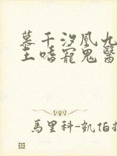 慕千汐凰九夜邪王嗜宠鬼医狂妃免费阅读