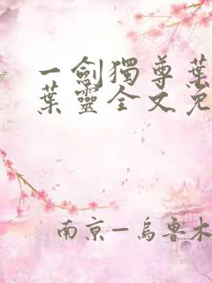 一剑独尊叶玄,叶灵全文免费阅读大结局
