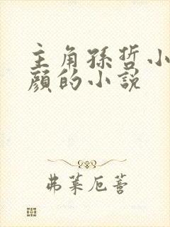 主角孙哲小妈朱颜的小说