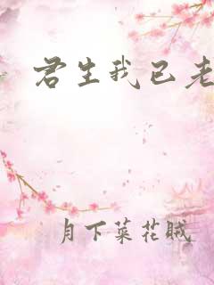 君生我已老全诗