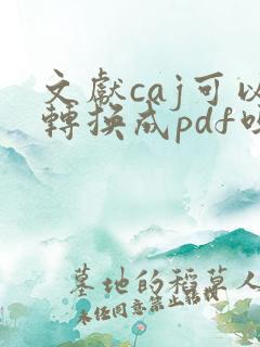 文献caj可以转换成pdf吗?