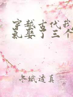 穿越古代我一口气娶了三个老婆