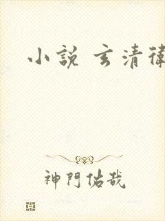 小说 玄清卫