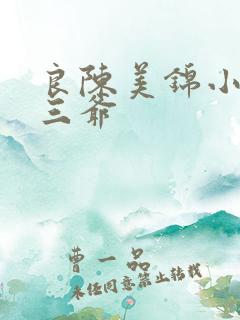 良陈美锦小说陈三爷