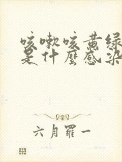 咳嗽咳黄绿色痰是什么感染
