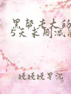 黑帮老大的365天未删减版