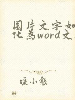 图片文字如何转化为word文档