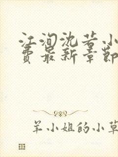 江洵沈若小说免费最新章节更新