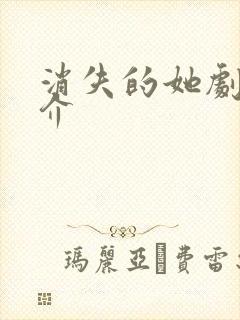 消失的她剧情简介