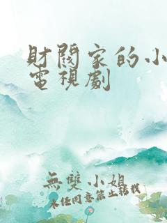 财阀家的小儿子电视剧